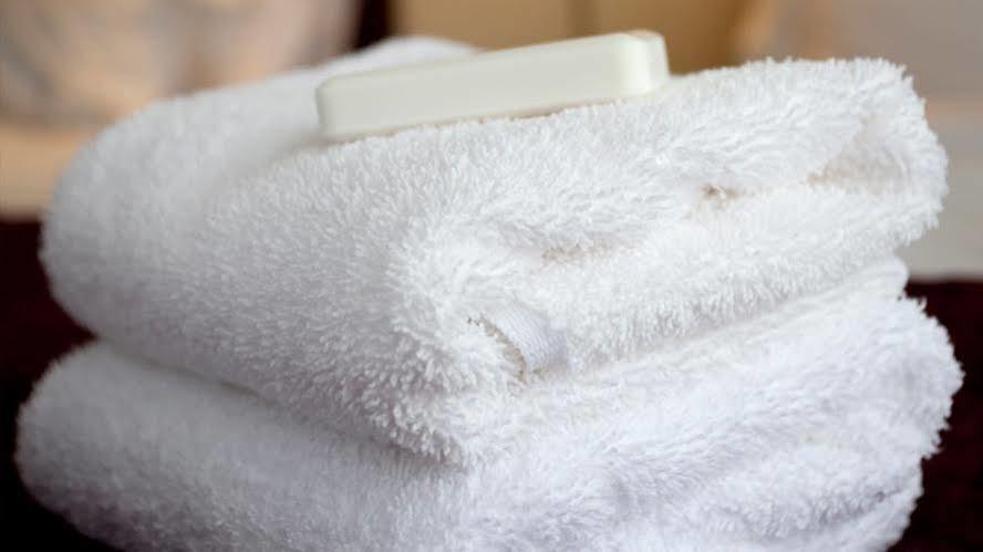 Hampton Inn & Suites Florence Center Ngoại thất bức ảnh